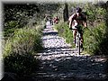 IMG_2367.JPG