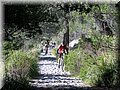 IMG_2370.JPG