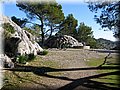 IMG_2384.JPG