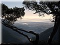 IMG_2385.JPG