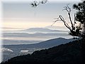 IMG_2389.JPG