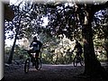 IMG_2395.JPG