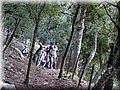IMG_2401.JPG