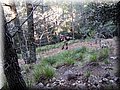 IMG_2403.JPG