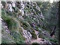 IMG_2406.JPG
