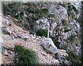 IMG_2411.JPG