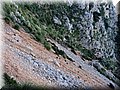 IMG_2417.JPG