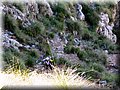 IMG_2419.JPG
