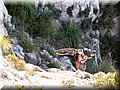 IMG_2421.JPG