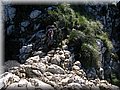 IMG_2426.JPG
