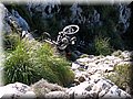 IMG_2432.JPG