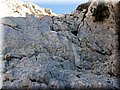 IMG_2440.JPG