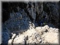 IMG_2441.JPG