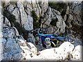 IMG_2442.JPG