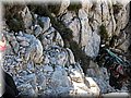 IMG_2443.JPG