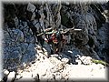 IMG_2446.JPG