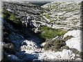 IMG_2452.JPG