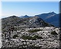 IMG_2479.JPG