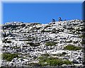 IMG_2518.JPG
