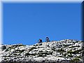 IMG_2519.JPG