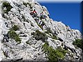 IMG_2520.JPG