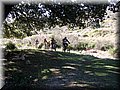 IMG_2539.JPG