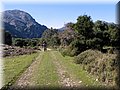 IMG_2542.JPG