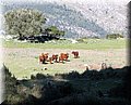 IMG_2545.JPG
