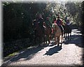 IMG_2549.JPG