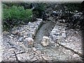 IMG_2552.JPG
