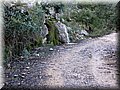 IMG_2555.JPG