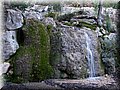 IMG_2559.JPG