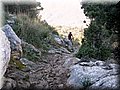 IMG_2768.JPG