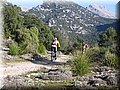 IMG_2781.JPG