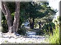 IMG_2782.JPG