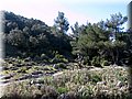 IMG_2786.JPG