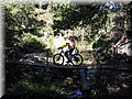 IMG_2805.JPG