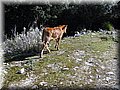 IMG_2819.JPG
