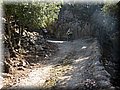 IMG_2890.JPG