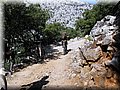 IMG_2893.JPG
