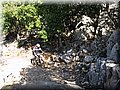 IMG_2895.JPG