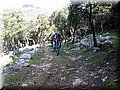 IMG_2901.JPG
