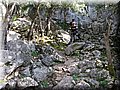 IMG_2906.JPG