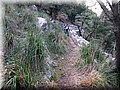 IMG_2912.JPG