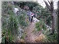IMG_2913.JPG