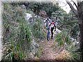 IMG_2914.JPG