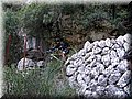 IMG_2919.JPG