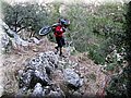 IMG_2925.JPG
