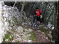 IMG_2933.JPG