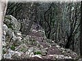 IMG_2934.JPG
